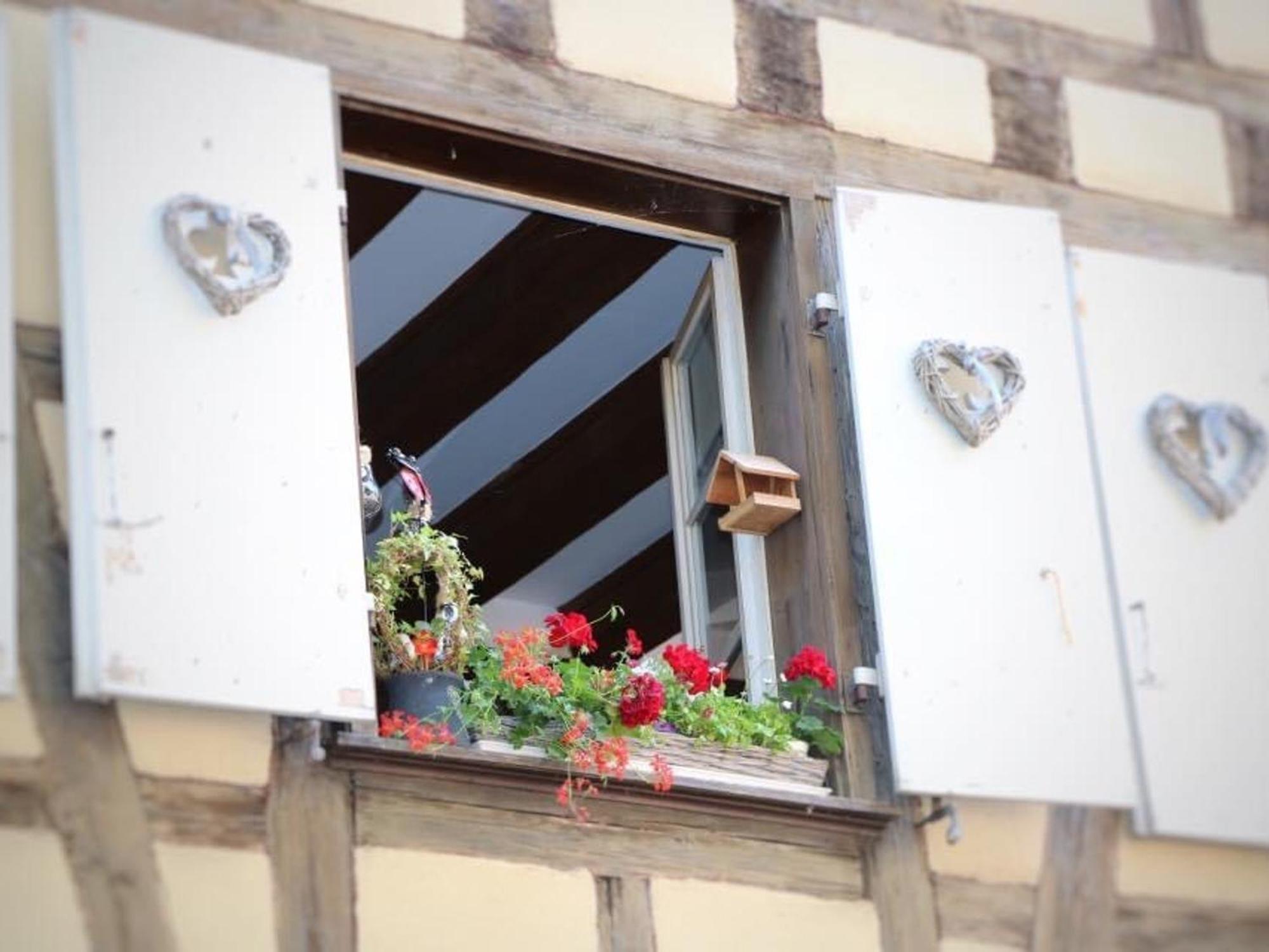 Charmant Appart Avec Garage Et Terrasse Au Coeur De Colmar, Pres De La Route Des Vins D'Alsace - Fr-1-722-6 Экстерьер фото