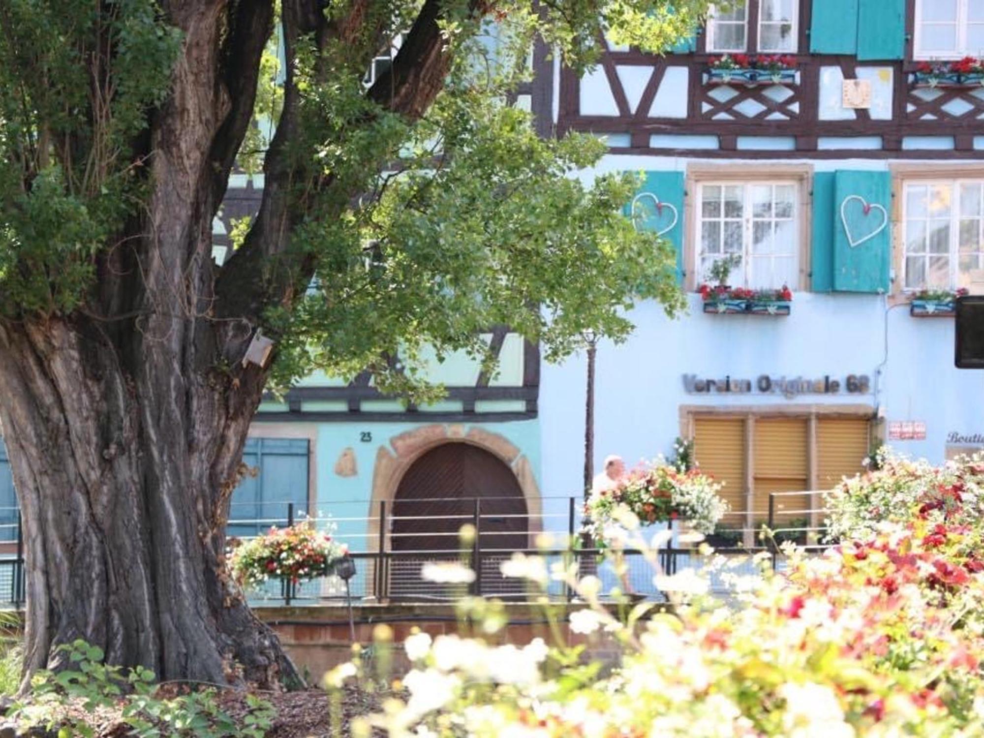 Charmant Appart Avec Garage Et Terrasse Au Coeur De Colmar, Pres De La Route Des Vins D'Alsace - Fr-1-722-6 Экстерьер фото